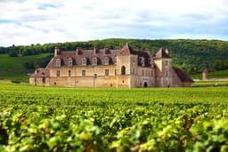 10 French Wine Regions to Visit for Amazing Views and Delicious Vinos